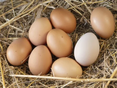 Cómo limpiar huevos correctamente: Trucos y consejos
